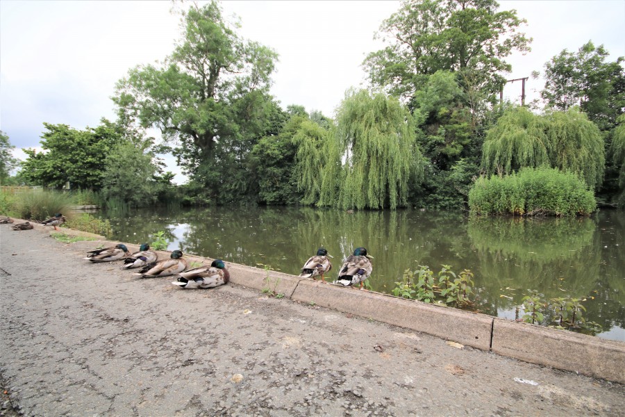 Images for Tattlebank Cottages, London Road, Willoughby, Rugby EAID: BID:lifeinvestments