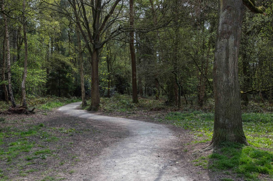 Images for Daneswood Road, Binley Woods, Coventry EAID: BID:lifeinvestments