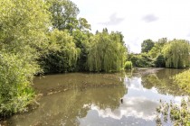 Images for Willoughby, Rugby