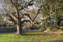 Images for Old Rectory Close, Churchover, Rugby