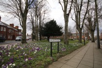 Images for Room 9. 24 Regent Place, Rugby