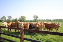 Images for Catthorpe Road, Shawell, Lutterworth