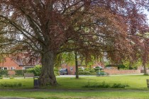 Images for Galanos, Long Itchington, Southam