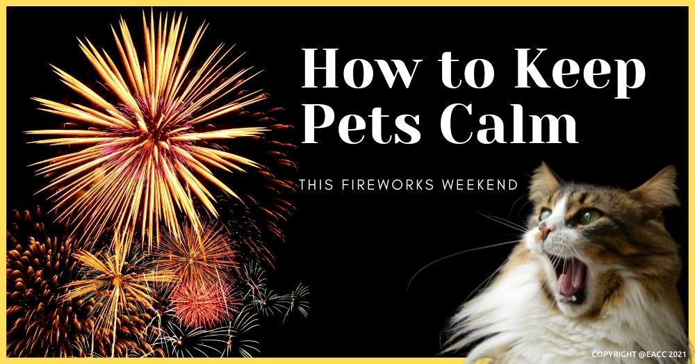 Pet Owners of Rugby – Keep Them Calm and Carry on This Fireworks Season